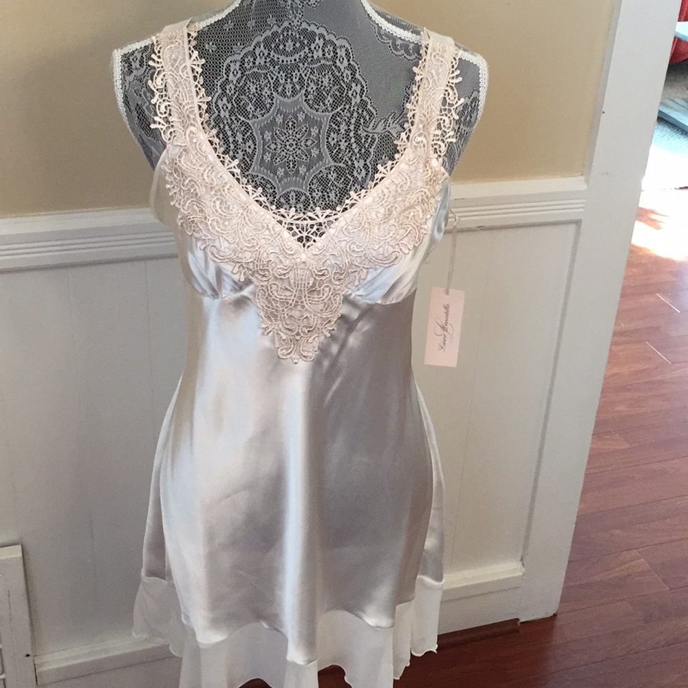 Silk Nightgown